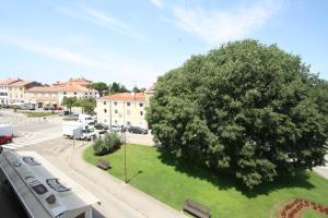 Fotografie z fotogalerie ubytování Apartments Simonetti v Poreči