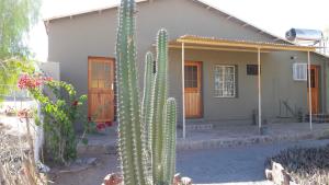 a large green cactus in front of a house at HUDUP Guesthouse in Maltahöhe