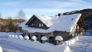 a house covered in snow with a fence at Haus Vor den Eichen für Familien in Willingen