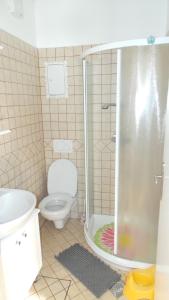a small bathroom with a toilet and a shower at Julija Podkoren in Kranjska Gora