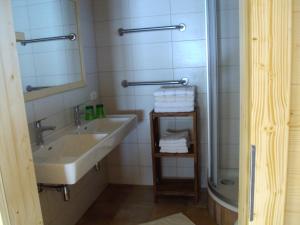a bathroom with a sink and a mirror and a shower at Ebner Casa in Heiligenblut