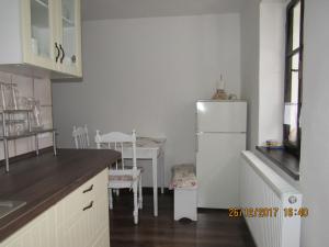 Kuchyňa alebo kuchynka v ubytovaní Apartment-Chalet-Chaloupka U Trnků