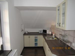 Kuchyňa alebo kuchynka v ubytovaní Apartment-Chalet-Chaloupka U Trnků