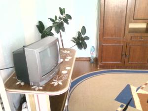 Televiisor ja/või meelelahutuskeskus majutusasutuses Apartment in Zlatoust
