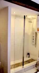 a shower with a glass door in a bathroom at la terrasse Desaix in Strasbourg