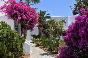 Gallery image of Astir Of Paros in Naousa