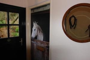 a horse sticking its head out of a window at In het koetshuis in Apeldoorn +25 photos