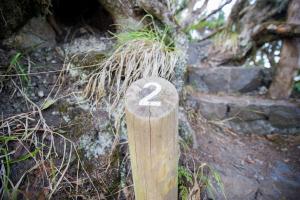 a wooden sign with the number two on it at Apartamentos Los Telares in Hermigua
