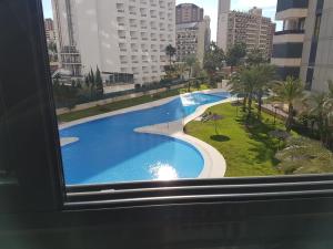 Bazén v ubytovaní GEMELOS 26 APARTMENTS - Benidormland alebo v jeho blízkosti