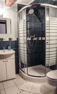 a bathroom with a shower with a toilet and a sink at Willa Montis in Szklarska Poręba +49 photos