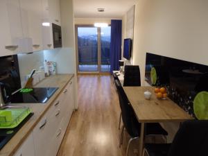 Eldhús eða eldhúskrókur á Apartament Widokowy Wisła