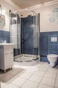 a bathroom with a shower and a toilet and a sink at Willa Montis in Szklarska Poręba