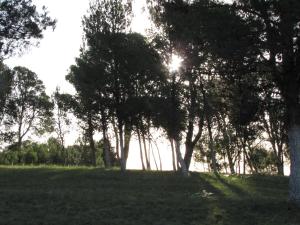 Un paisaje natural cerca del hotel