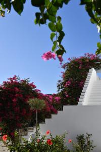 Gallery image of Astir Of Paros in Naousa