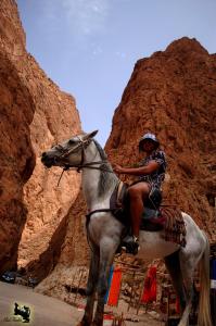 a person riding a horse in the desert at Etoile des Gorges in Aït Baha