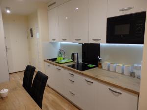 Eldhús eða eldhúskrókur á Apartament Widokowy Wisła