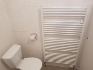 y baño con aseo blanco y ducha. en RATOMAS, s.r.o., en Kostelec na Hané