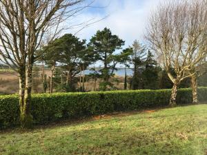 een rij heggen in een park met bomen bij Mick's Cottage in Loughrea