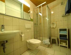 a bathroom with a toilet and a shower and a sink at Dümpelhof Ferienwohnungen in Olsberg +34 photos