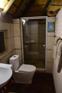 a bathroom with a toilet and a glass shower at Namibs Valley Lodge in Gamsberg Pass +65 photos