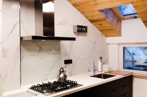 Kuchyňa alebo kuchynka v ubytovaní Apartament Dębowy
