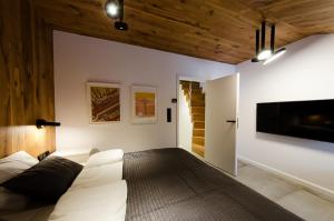 Televízia a/alebo spoločenská miestnosť v ubytovaní Apartament Dębowy