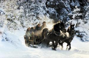 un grupo de personas montando en un carruaje tirado por caballos en la nieve en Ferienwohnung "Deluxe" in Korbach, en Korbach