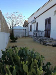 un cactus en un patio al lado de un edificio blanco en Casa Sole e Vento, en Birgi Vecchi