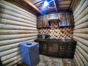 Kuchyň nebo kuchyňský kout v ubytování Cottage Hata Zustrich