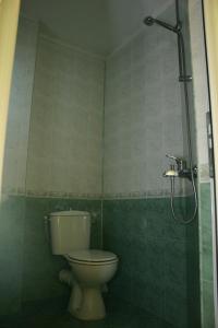 łazienka z toaletą i prysznicem w obiekcie Family Hotel Studio w mieście Sandanski