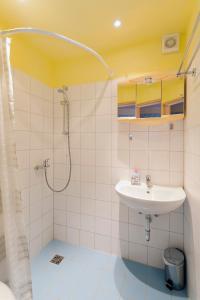 uma casa de banho com um lavatório e um chuveiro em Willekes Blütenhof em Madfeld