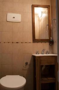 La salle de bains est pourvue de toilettes, d'un lavabo et d'un miroir. dans l'établissement Departamento Fran, à La Plata