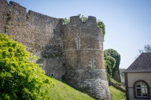 Fotografie z fotogalerie ubytování Le Sauvage v destinaci Château-Renard