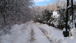 Csodaszarvas Vendégház during the winter