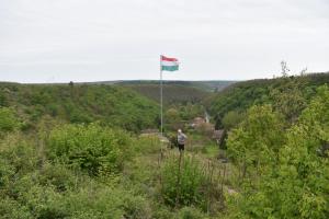 Táj Show holiday homes közelében