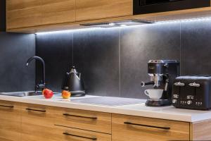 Kuchnia lub aneks kuchenny w obiekcie Apartament Czarny Staw