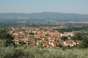 a town with houses and mountains in the background at Affittacamere La Sosta in Pian di Scò