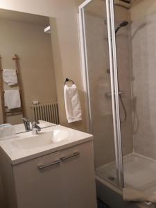 La salle de bains est pourvue d'un lavabo et d'une douche. dans l'établissement La Caravelle, à Riom