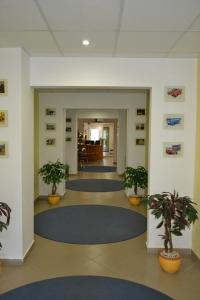 een hal met blauwe tapijten en planten in een gebouw bij Leier Business Hotel in Gönyů