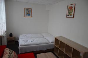 Fotografie z fotogalerie ubytování Pension Medard v destinaci Boží Dar