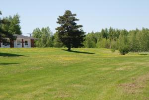 Zahrada ubytování Tantramar Motel