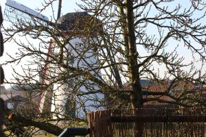 Gallery image of De Rosmolen in Ertvelde