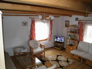 a living room with a couch and chairs and a tv at Podlas in Żywiec