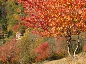 Paisaje cerca of this country house