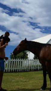 卡塔尼瑙麦汽车旅馆的相册照片