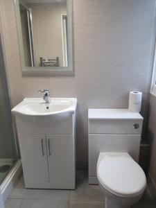 uma casa de banho com um lavatório, um WC e um espelho. em Holly Cottage em Burgh le Marsh