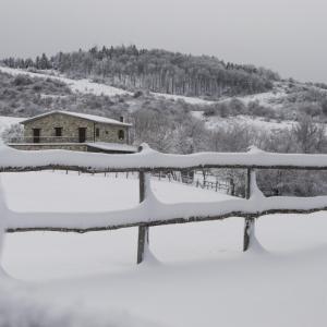 Fattoria Bio L'A Ceccoli v zimě