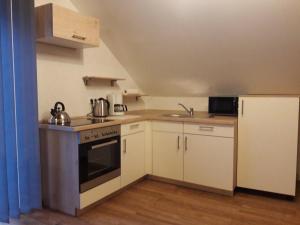 a small kitchen with a stove and a refrigerator at Pension Ferienwohnungen Rosenschlösschen in Willingen