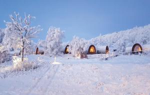 Snowhotel Kirkenes v zimě