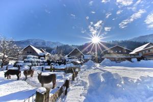 Paesaggio naturale nelle vicinanze dell'affittacamere